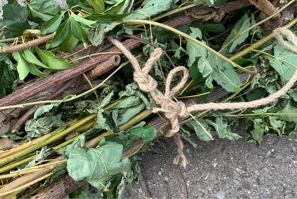 Online Magazin Slider - Wie kann ich Grüngut korrekt zur Abholung bereitstellen