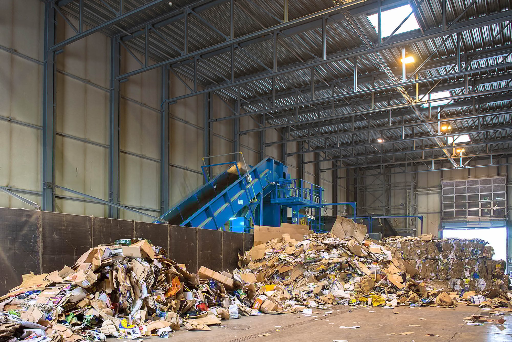 Wissen - Papier- und Kartonsammlung